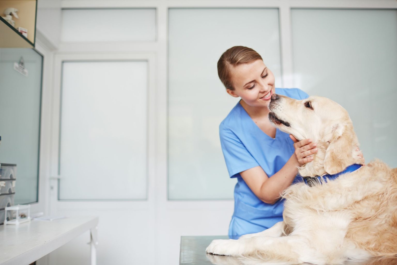 the-top-benefits-of-becoming-a-veterinarian-technician