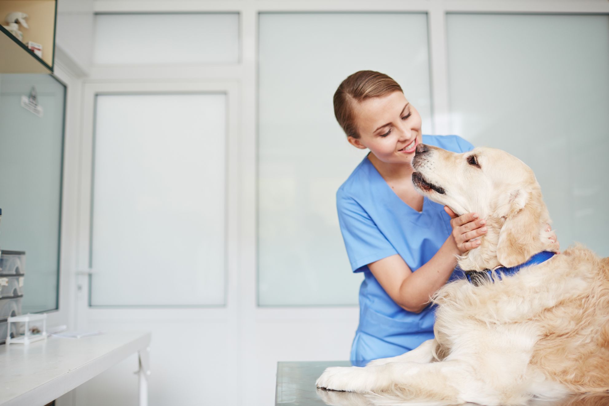 The Top Benefits of a Veterinarian Technician