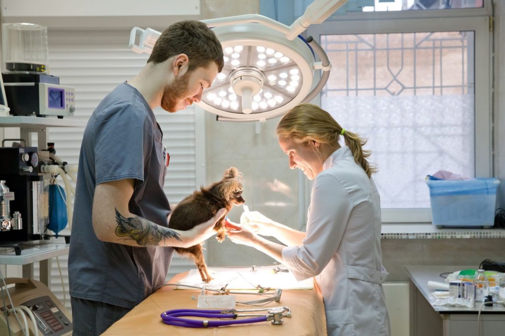 Is a Vet Tech Career Right for You?